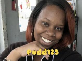 Pudd123
