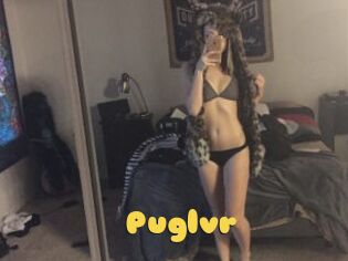 Puglvr