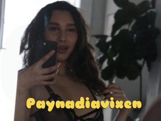 Paynadiavixen