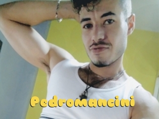 Pedromancini