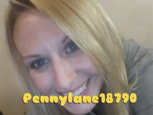 Pennylane18790