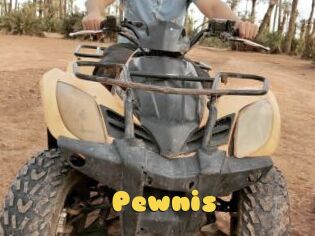 Pewnis