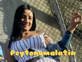 Peytonumalatin