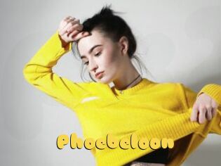 Phoebeloon