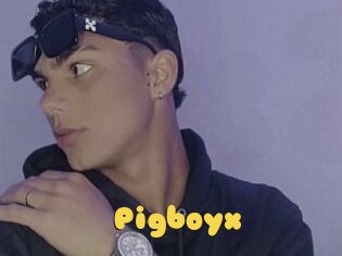 Pigboyx