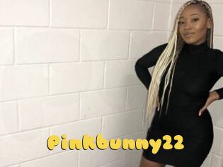 Pinkbunny22