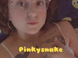 Pinkysnake