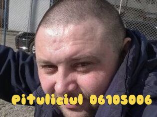 Pituliciul-06105006