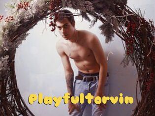 Playfultorvin