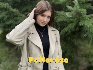 Pollerose