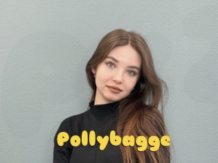 Pollybagge