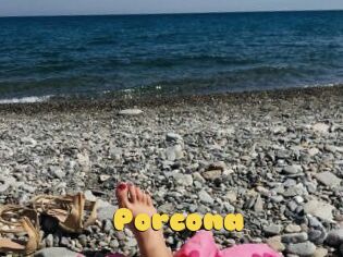 Porcona