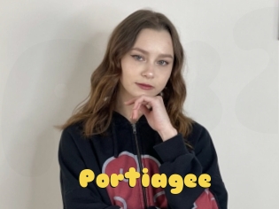 Portiagee