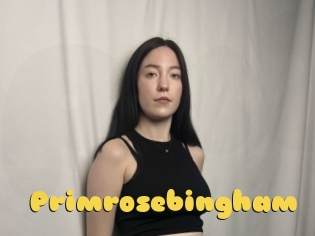 Primrosebingham