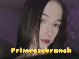 Primrosebranch