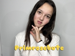 Primrosebute
