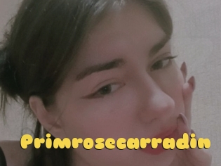 Primrosecarradin