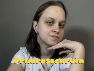 Primrosecarvin