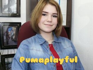 Pumaplayful