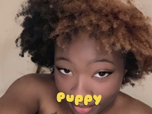 Puppy