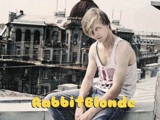 RabbitBlonde