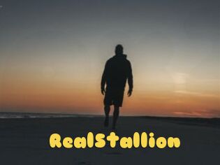 RealStallion