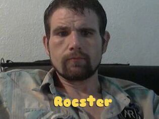 Rocster