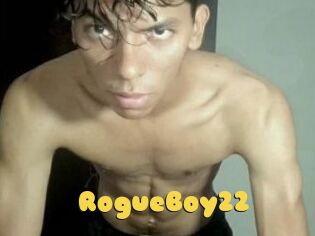 RogueBoy22