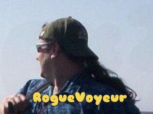 RogueVoyeur
