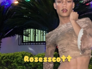 rosesscott Px24 Sexcam