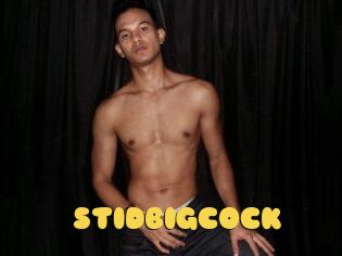 STID_BIG_COCK