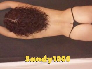 Sandy1000