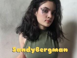 SandyBergman