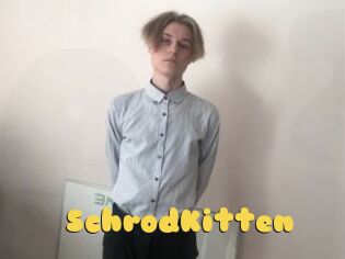 SchrodKitten