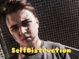 SelfDistruction
