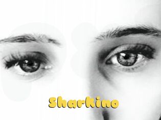 Sharkino