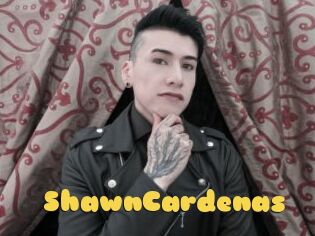 ShawnCardenas