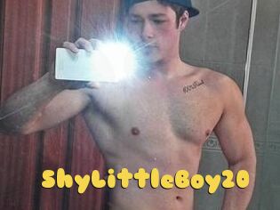 ShyLittleBoy20