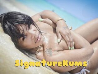 SignatureKums