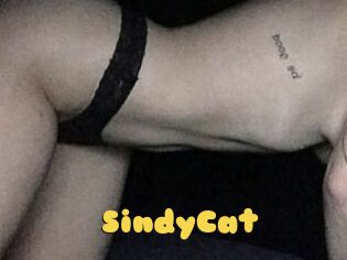 SindyCat