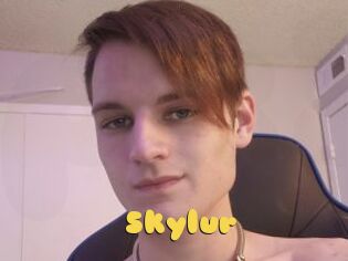 Skylur