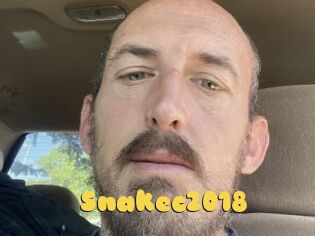 Snakec2018