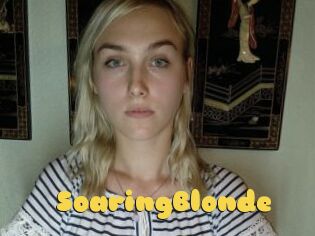 SoaringBlonde