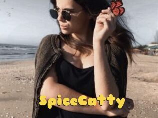 SpiceCatty