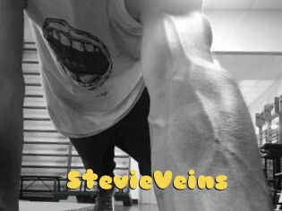 StevieVeins