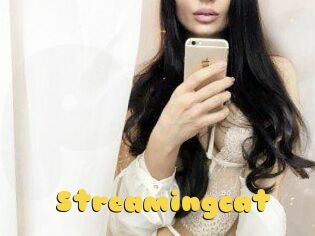 Streamingcat