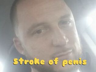 Stroke_of_penis