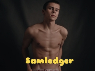 Samledger