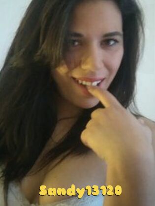 Sandy13120