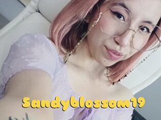 Sandyblossom19